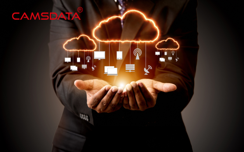 The Role of Cloud Computing in Digital Transformation