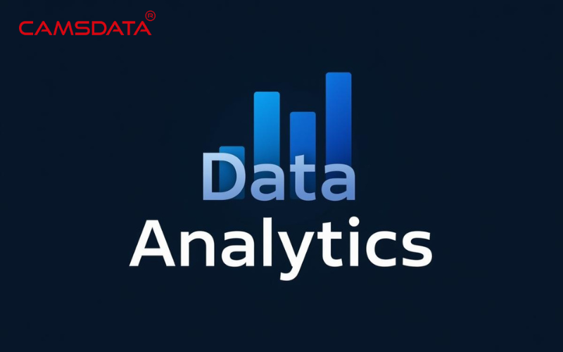 Top Data Analytics Company in Bangalore: Transform Your Data with Camsdata