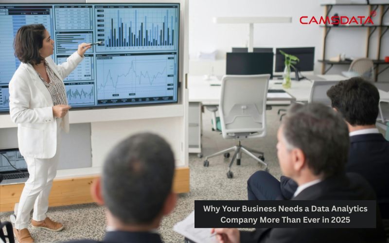 Why Your Business Needs a Data Analytics Company More Than Ever in 2025