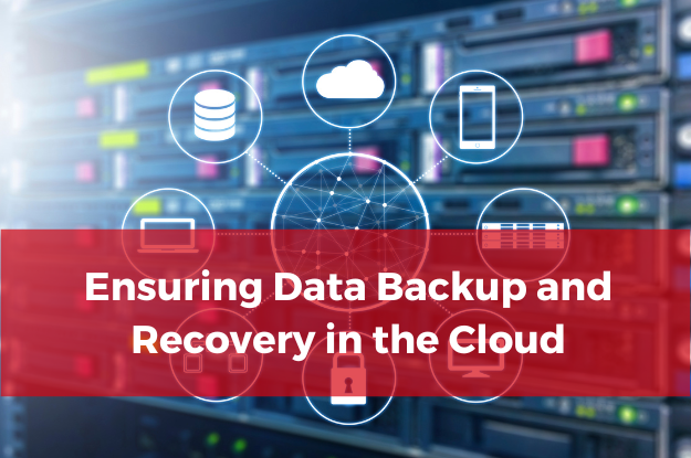 Ensuring Data Backup and Recovery in the Cloud