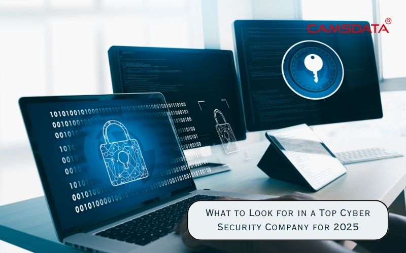What to Look for in a Top Cyber Security Company for 2025