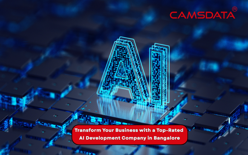 Transform Your Business with a Top-Rated AI Development Company in Bangalore